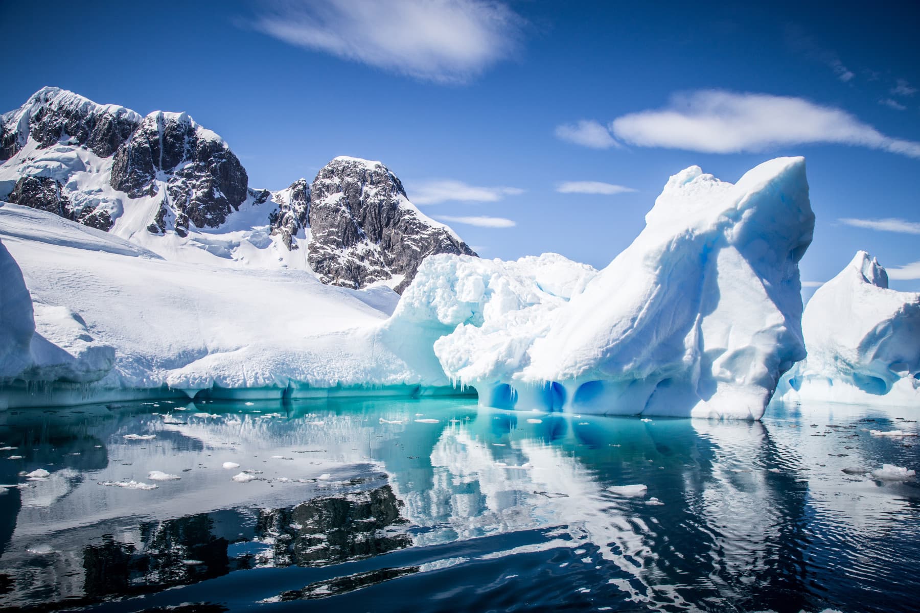 ANTARCTICA Highlights