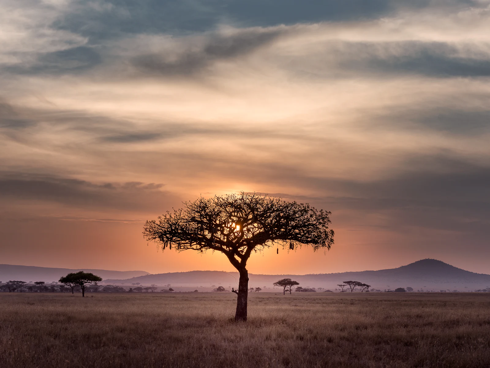 Serengeti, Tanzania — luxury travel destination
