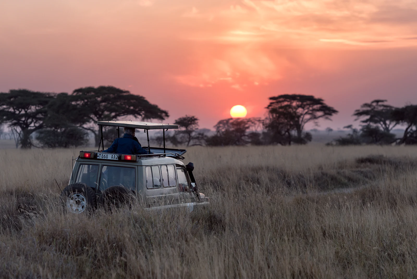 Private Safari — luxury travel experience