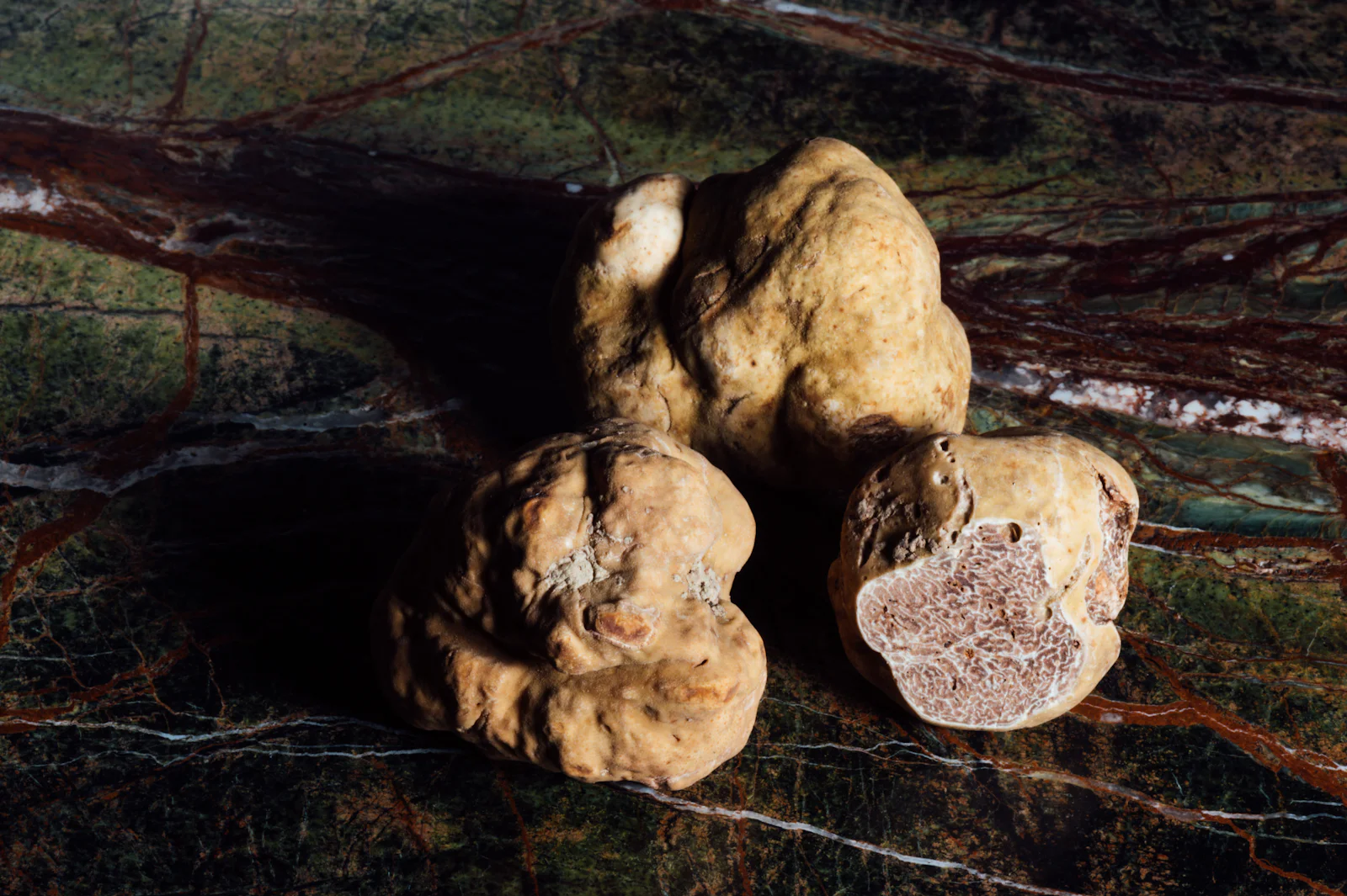 A Truffle Hunt — luxury travel experience